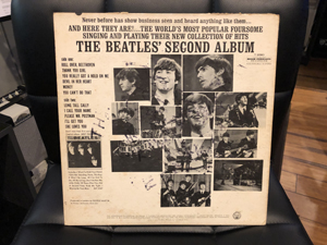 LP-005 pic B (back)